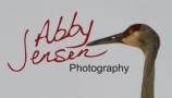 Abby Jensen logo