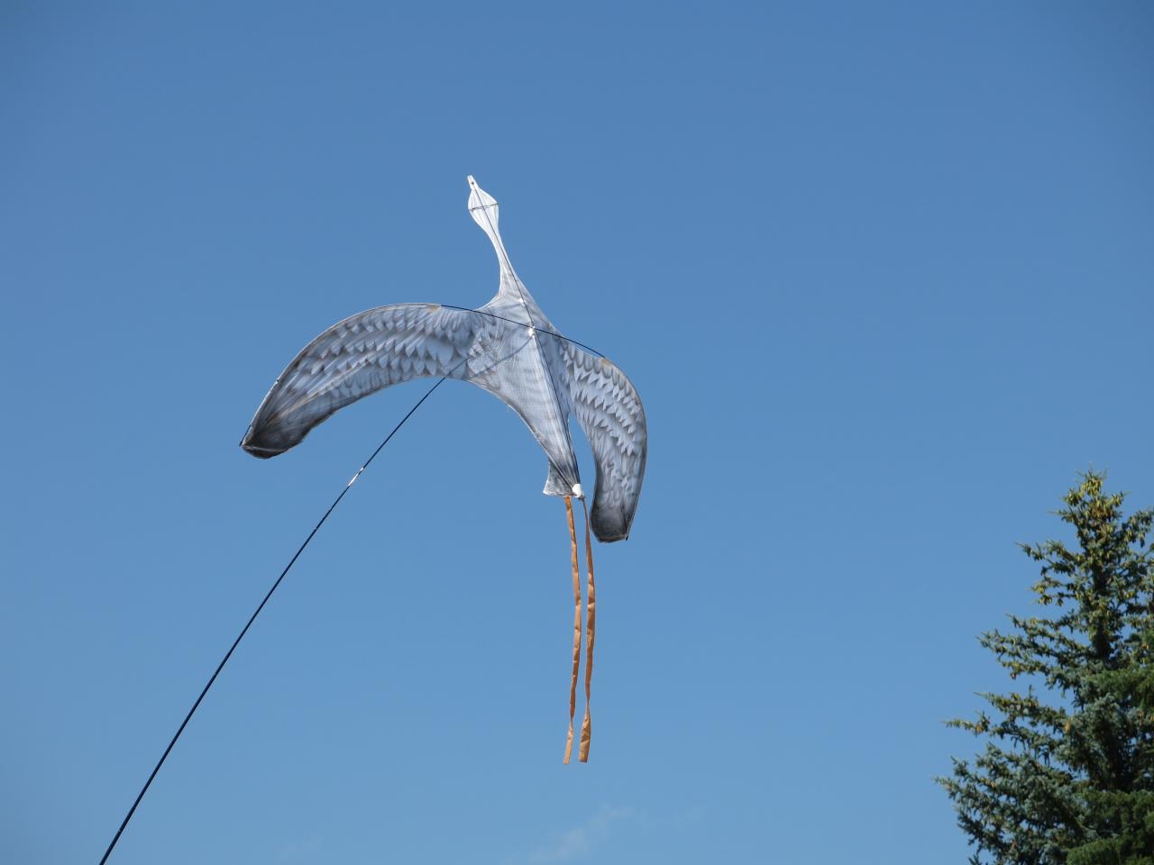 Crane kite