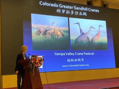 Yampa-Valley-Crane-Festival-at-China-Festival-copy