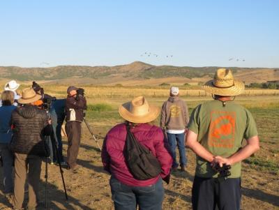 Craniacs-observing-sandhill-cranes-near-Hayden-CO