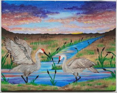 The Cranes of Colorful Colorado by Sienna Russell