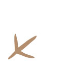 CraneFestival-singlefoot