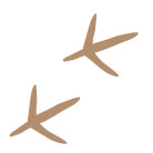 CraneFestival-twofootprints