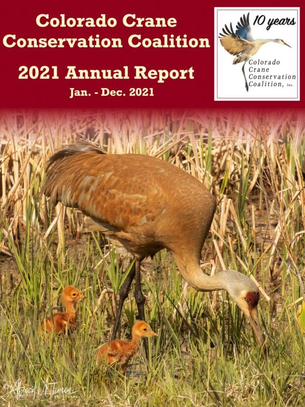 CCCC-Annual-Report-2021-pic-edited