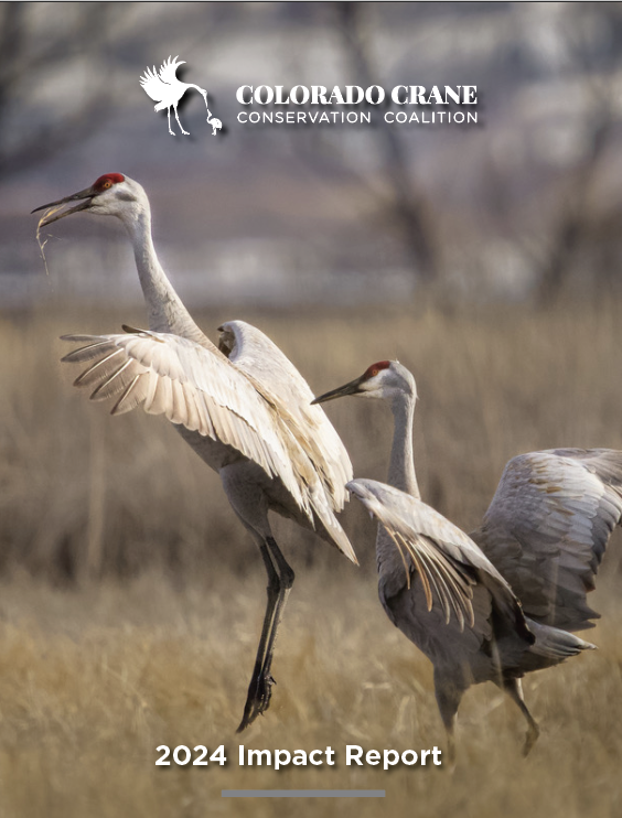 Screenshot 2025-11-21 at 9.56.07 AM